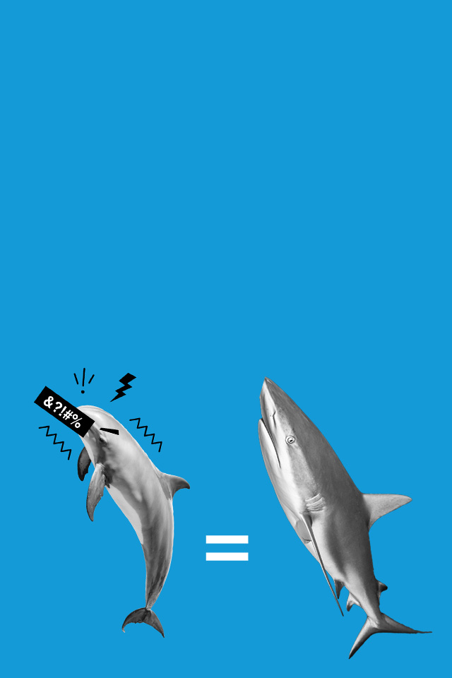 dolphin and shark