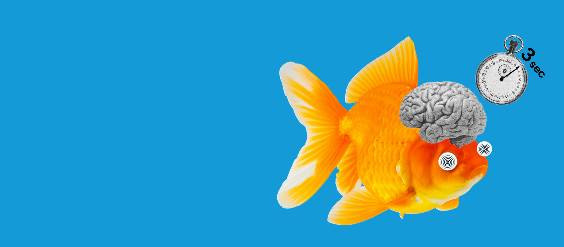 goldfish and a stopwatch