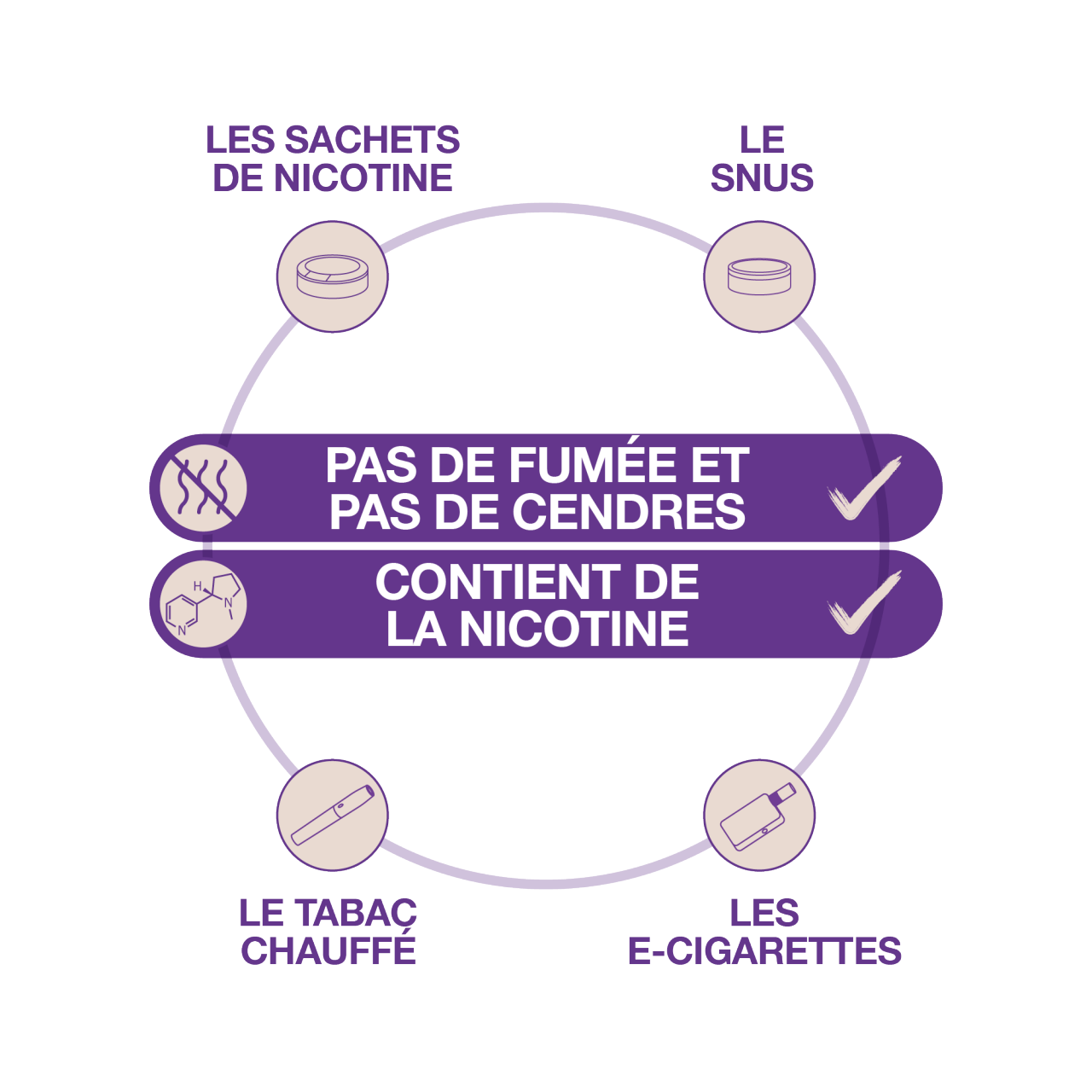 infographic smoke-free products