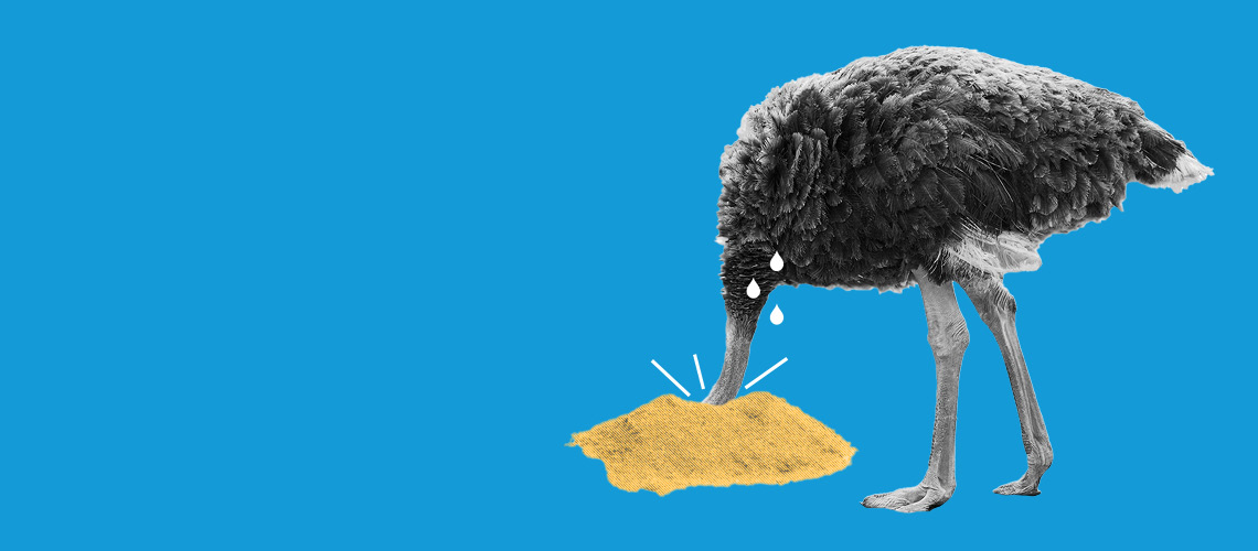 ostrich sticking its head in the sand